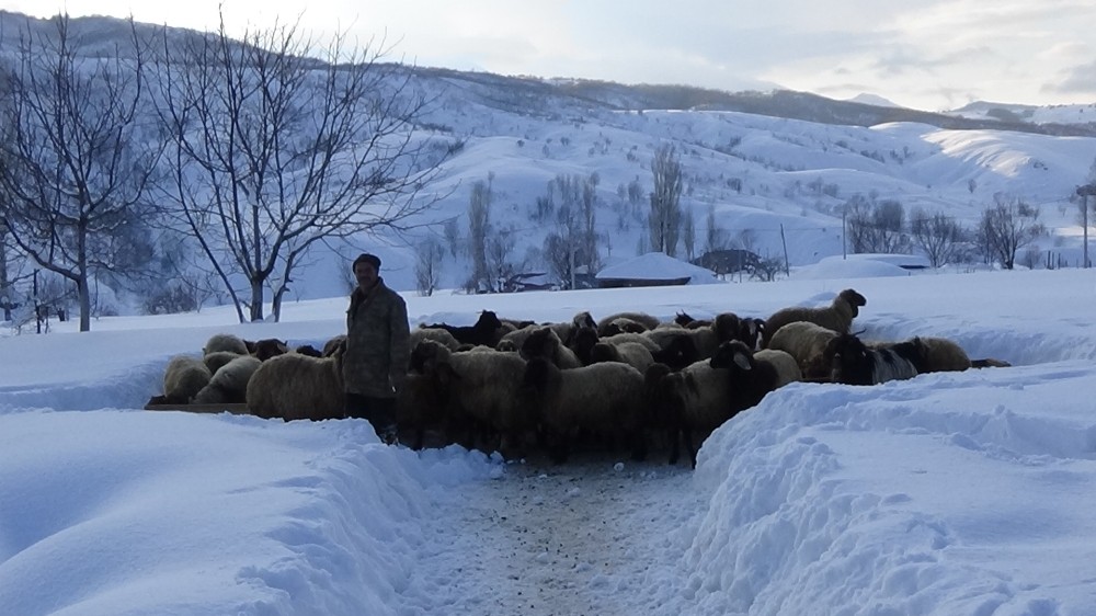 Muş’taki dağ köyleri kar altında kaldı 
