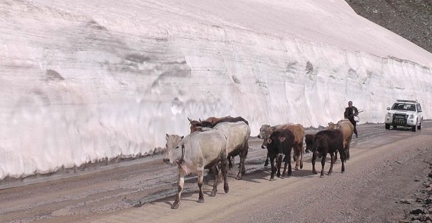 Muş'taki kar yığını herkesi şaşırtıyor