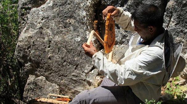 ‘Müşteri aramıyoruz! Fiyatını sormadan alıyorlar…’ Tezgaha konmadan hepsi satılıyor!