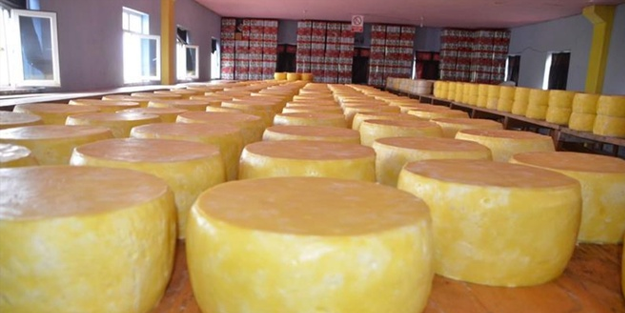 Muş'un Kaşar Peyniri coğrafi işaret belgesi aldı