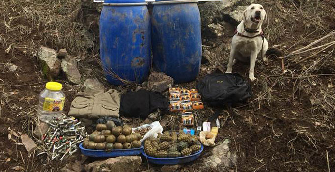 Muş'un Varto ilçesinde PKK'ya operasyon: 90 el bombası bulundu