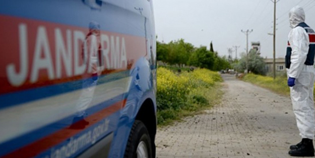 Mutasyon virüs bir ilimizde daha görüldü