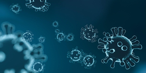 Mutasyona uğrayan koronavirüs, bir ülkeye daha sıçradı