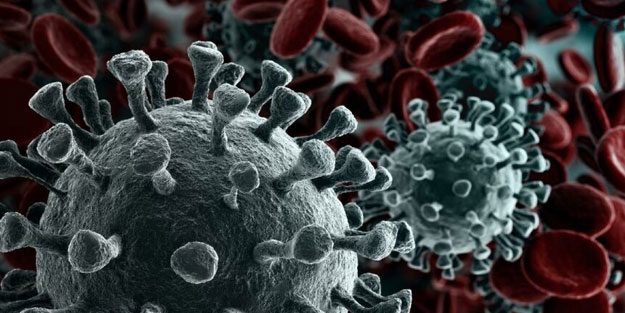 Mutasyonun ABD'de hızla yayılacağı öngörülüyor