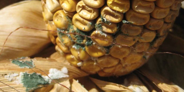 Mutfağımızdaki en büyük tehlike...