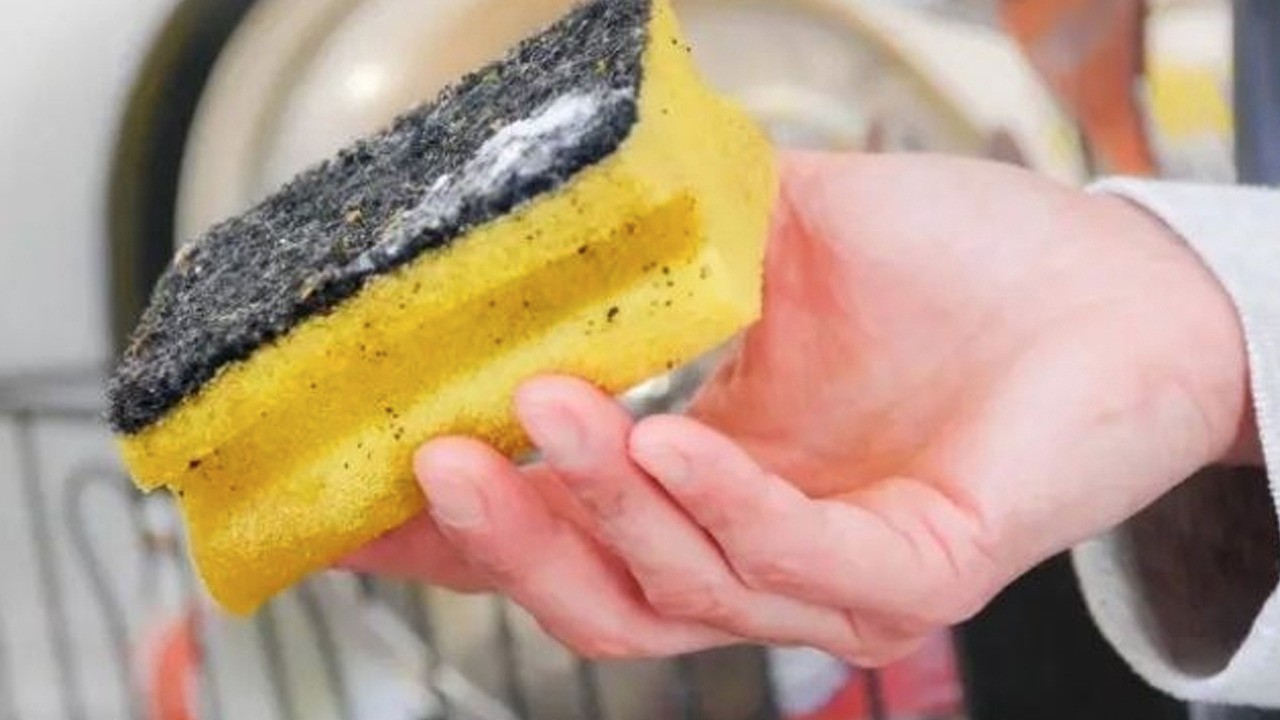 Mutfağınızdaki bulaşık süngeri, aslında bakteri yuvası