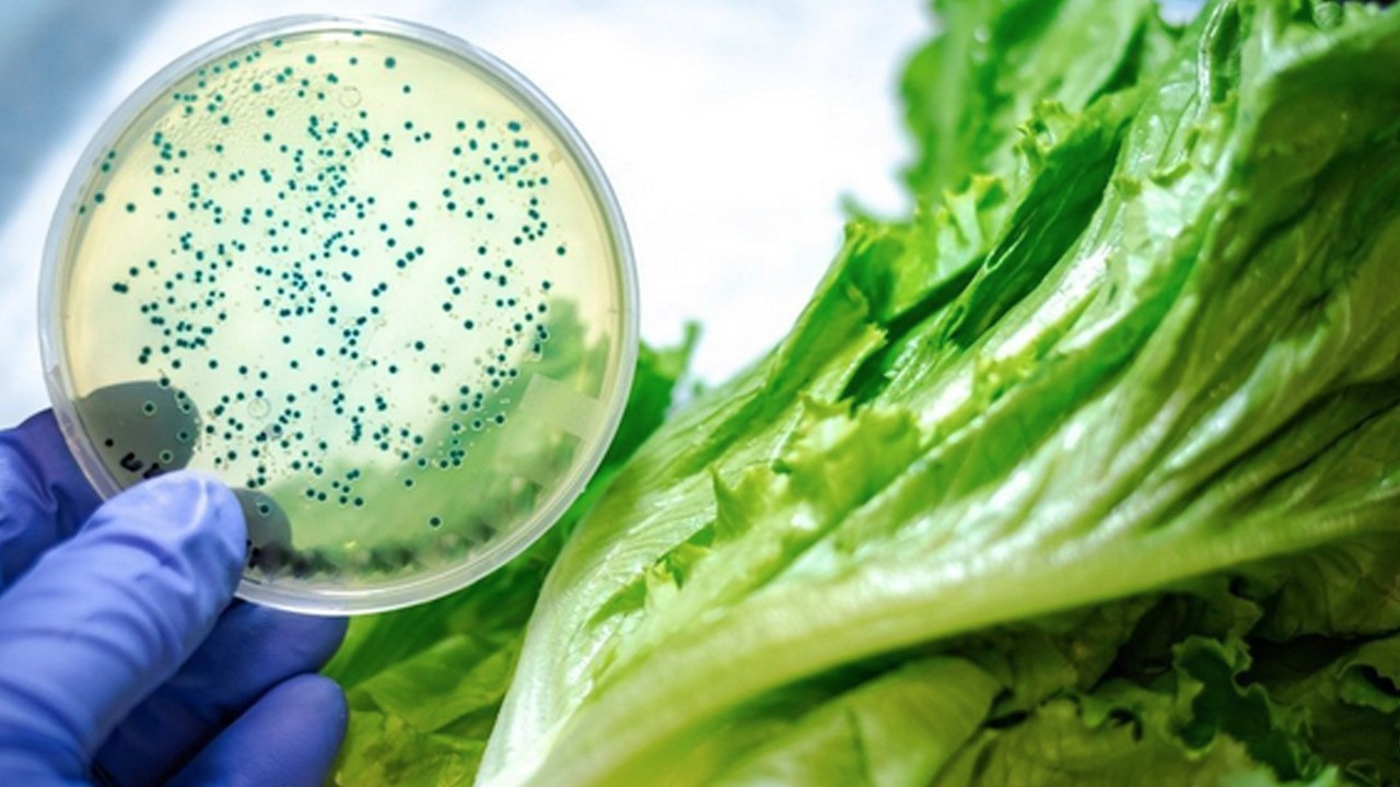 Mutfağınızdaki tehlike! Çapraz bulaşma sağlığınızı ciddi tehdit ediyor