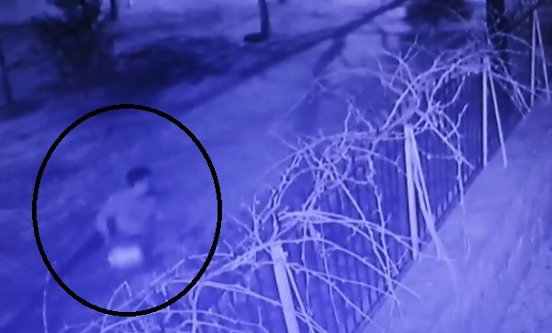 Mutfak tüpü hırsızları kamerada 