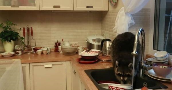 Mutfakta öyle bir şeyle karşılaştılar ki!