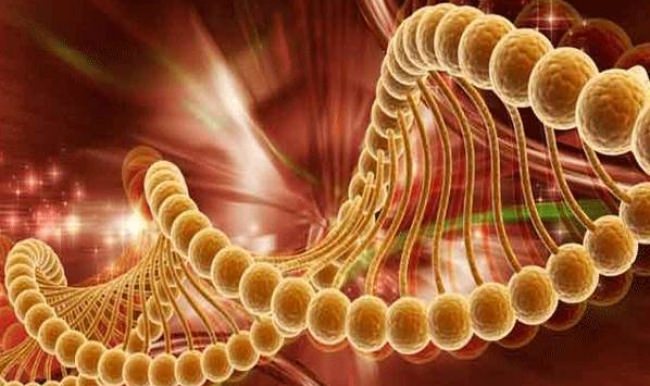 Müthiş buluş! Akciğer kanserini yenen ilaç