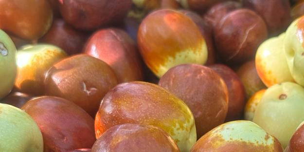 Müthiş gündem oldu! Diğerleri yok olacak gibi... 8 yıldır doktora götürmüyor!