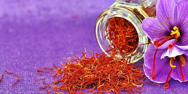 Müthiş meslek! Safran hasadı başladı: Kilosu 100 bin TL