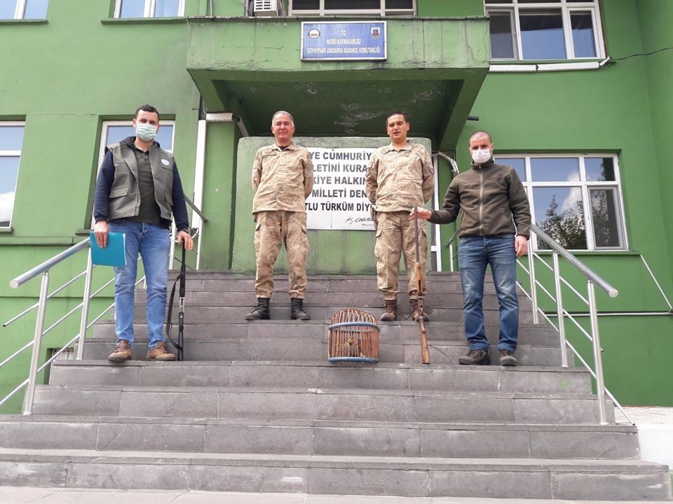 Mutki’de ’canlı mühre’ olarak kullanılan 1 keklik ele geçirildi 