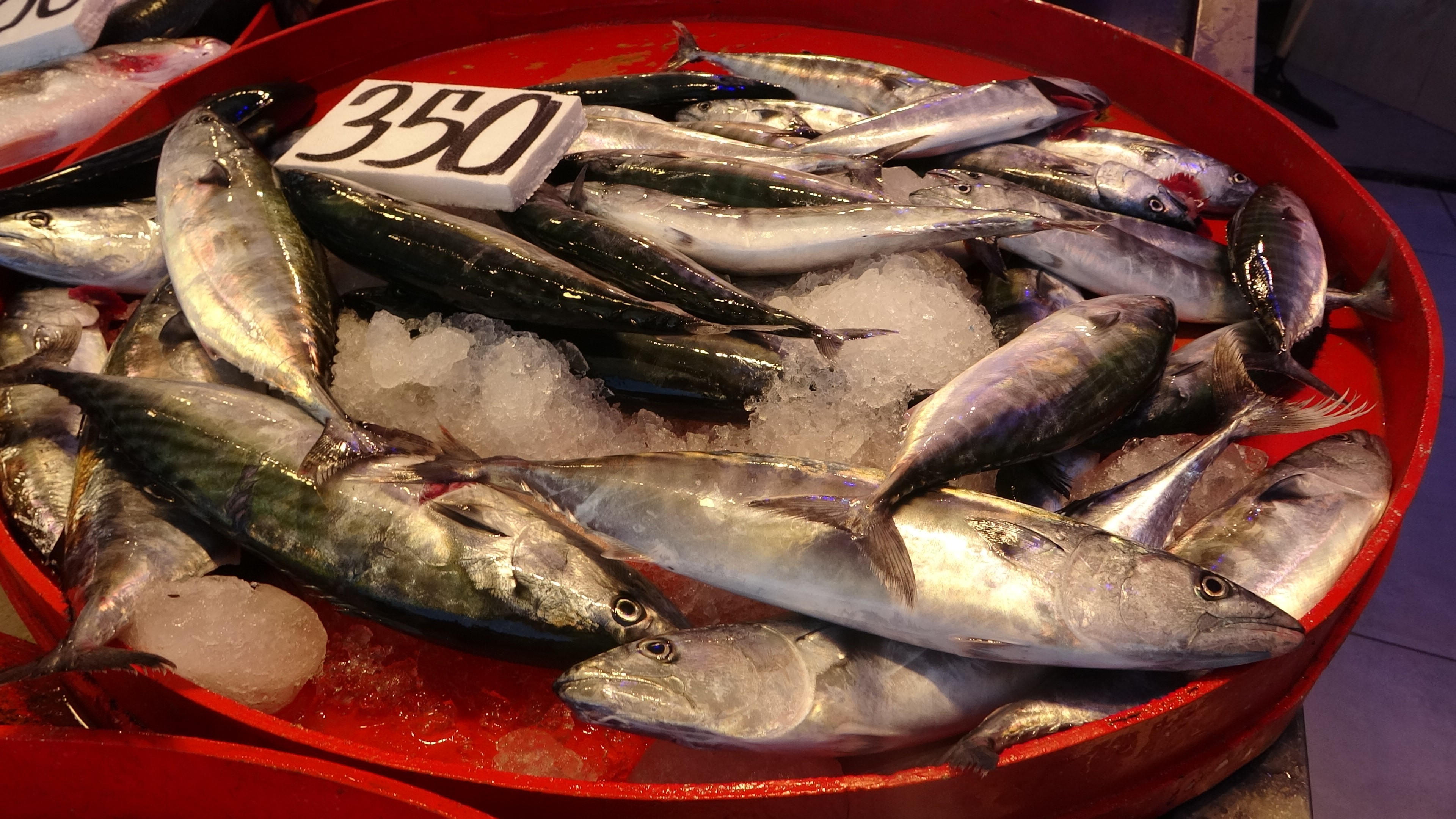 Mutlu: "Bu sezon palamut da, istavrit de umut verici"