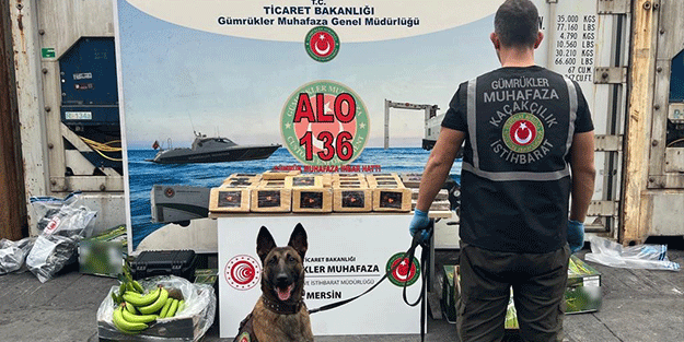 Muz dolu konteynerde 77 kilo kokain ele geçirildi; 2 gözaltı