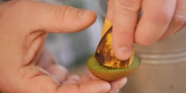 Muz ile kiviyi birlikte ekti ve bakın ortaya ne çıktı!