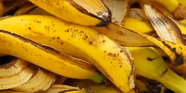 Muz liflerindeki mucize: Alternatif olarak çok iyi çünkü! Ziyan etmemeliyiz