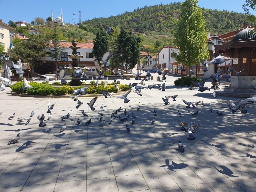 Nallıhan’da Cumhuriyet Meydanı güvercinlere kaldı 