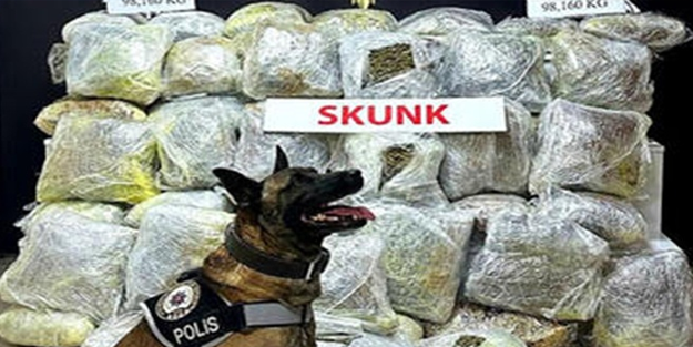 Namussuzlara geçit yok! Ev eşyası taşıyan kamyonda 98 kilogram skunk ele geçirildi