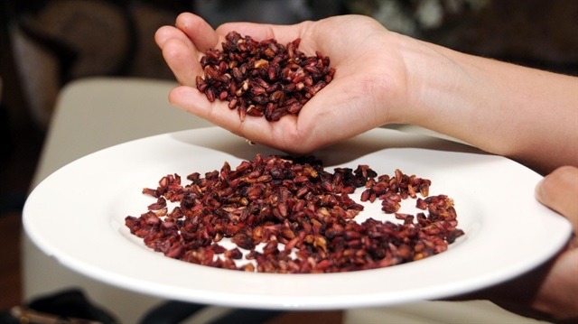 Nar para etmeyince kuruyemiş oldu