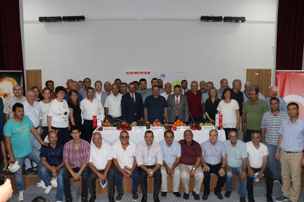 Narenciye ihracatında beklenti 900 milyon dolar 