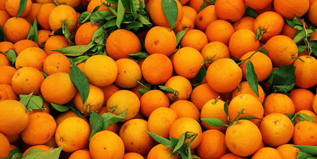 Narenciye ihracatını mandalina sırtladı
