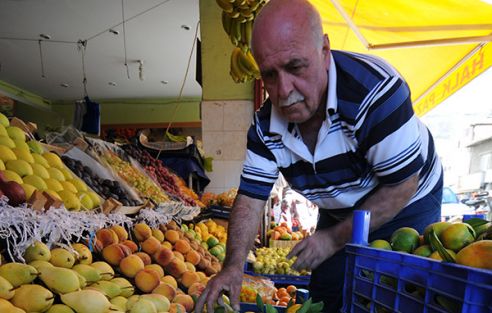 Narenciye üreticisi memnun