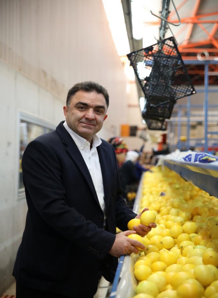 Narenciyede yüzde 70 rekolte düşüklüğü bekleniyor 