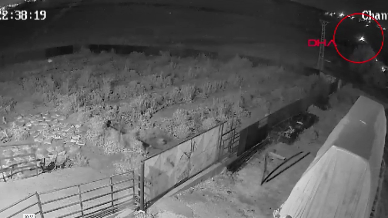 Narin cinayetinde sıcak gelişme! Salim Güran'ın yeni videosu ortaya çıktı