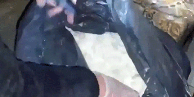 "NARKOGÜÇ-42" operasyonu! 364 gözaltı kararı