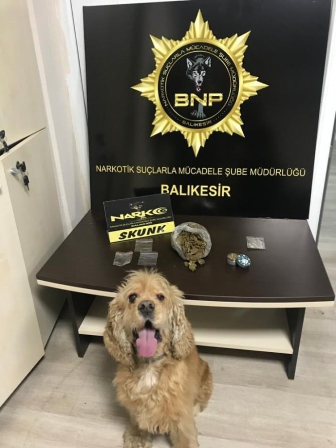 Narkotik köpeği ’Bath’dan bingo 