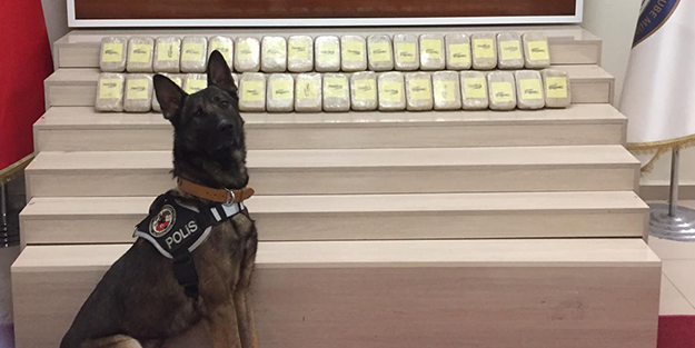 Narkotik köpeği devreye girdi, 17 kilo eroin bulundu!