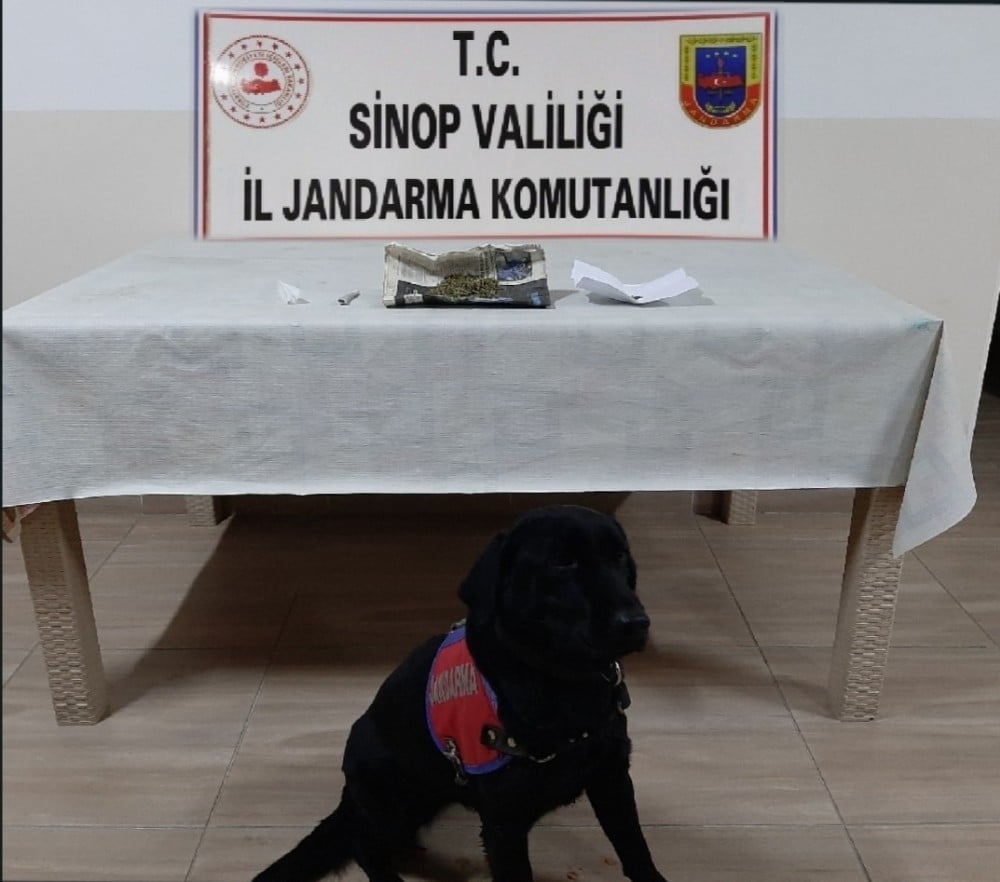 Narkotik köpeği Perma uyuşturucuyu yakaladı 