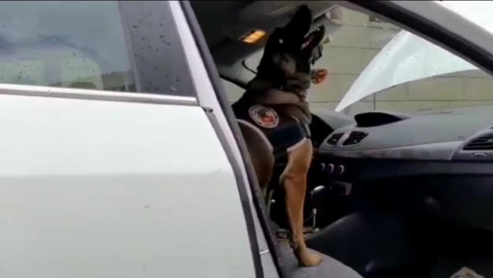 Narkotik köpeği tepki verdi, uyuşturucu lambanın arkasından çıktı 