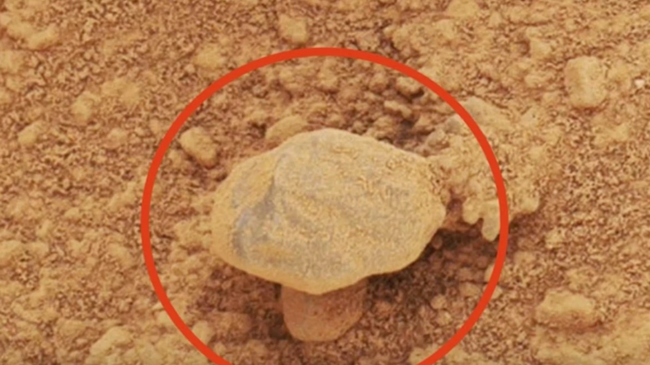 NASA bizden sakladı mı?