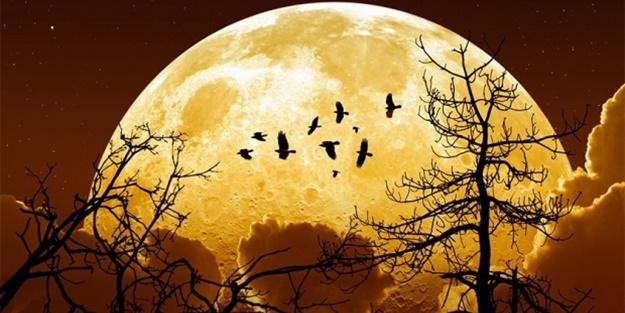 NASA tarih verdi! Büyük gün 14 Kasım