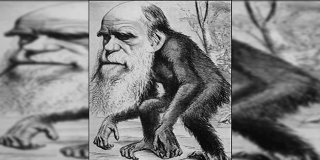 Nasırlarına basılmış gibi… Yeni müfredat Darwin'in maymuncularını kudurttu