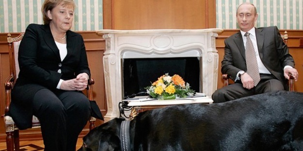 NATO: Putin, Merkel'i devirmeye çalışıyor