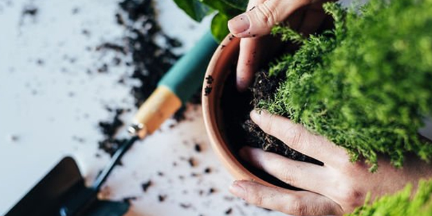Natürel gübre yapmanın 5 yolu: Toprakla haşır neşir olun... Antidepresan içeren doğal destek