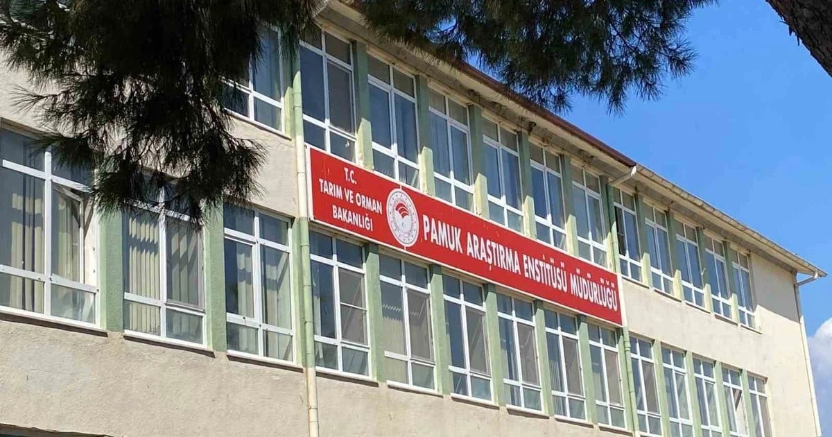 Nazilli Pamuk Araştırma Enstitüsü'nde rüşvet iddiası: 4 şüpheli adli kontrolle serbest