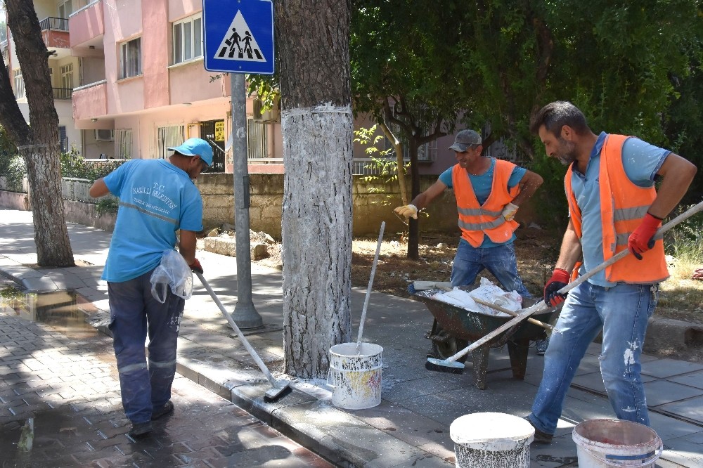 Nazilli’de bayram temizliği başladı 