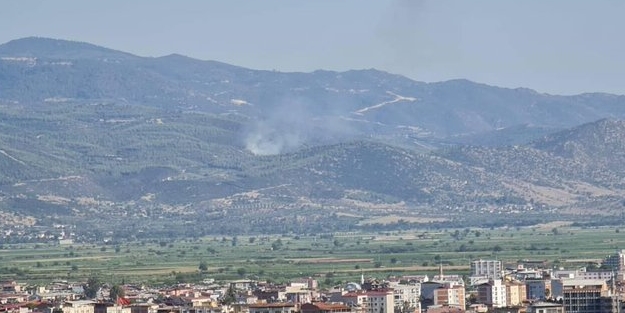 Nazilli'de orman yangını! Müdahale ediliyor