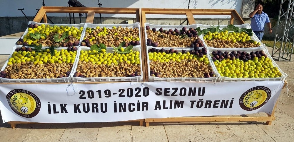 Nazilli’de sezonun ilk inciri 250 TL’den alıcı buldu 