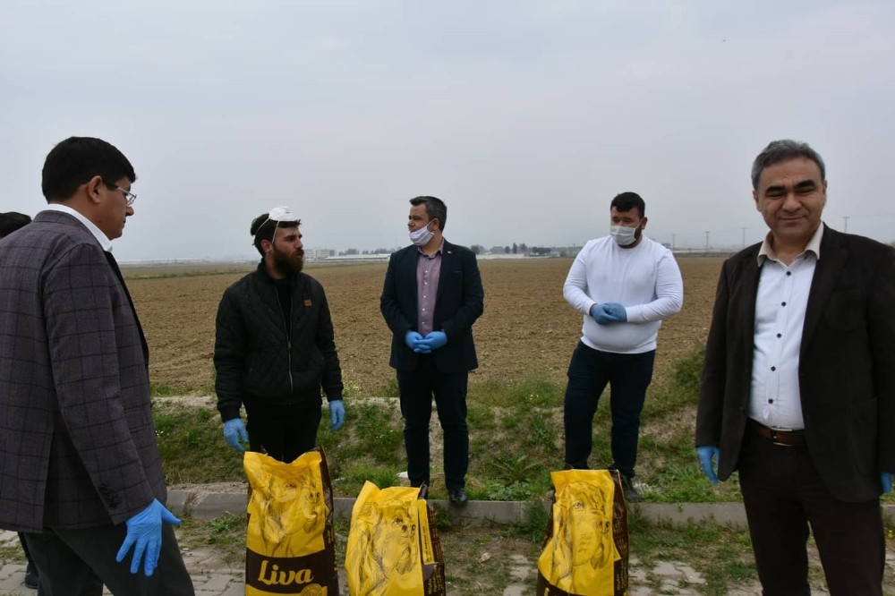 Nazilli’de sokak hayvanları unutulmadı 