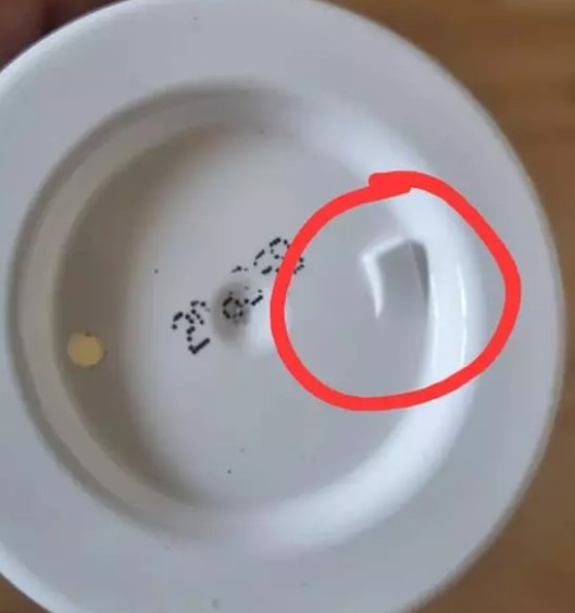 Ne işe yaradıklarını bilen yok! Günlük hayatta kullanılıyorlar!