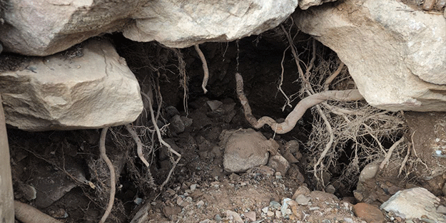 Ne oldu merak ediliyor! Deprem bölgesinde heyecanlandıran sıvı