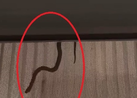 Perdedeki detaya dikkat!