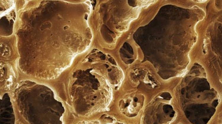 Ne olduğunu tahmin edebildiniz mi?