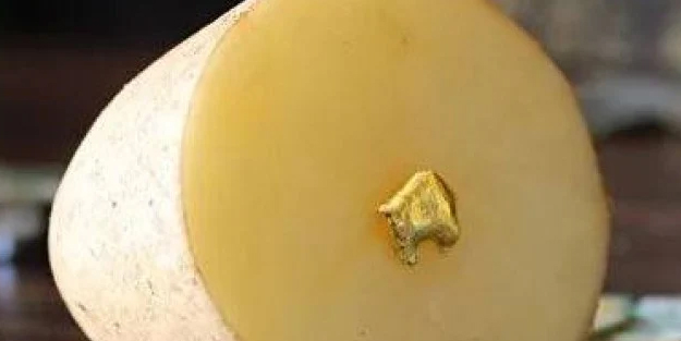 Ne petrol ne doğalgaz! Patatesi olan herkes dönüp bir daha baktı! Şok sözler: 1 gram altın, işbirliği ile yaptılar