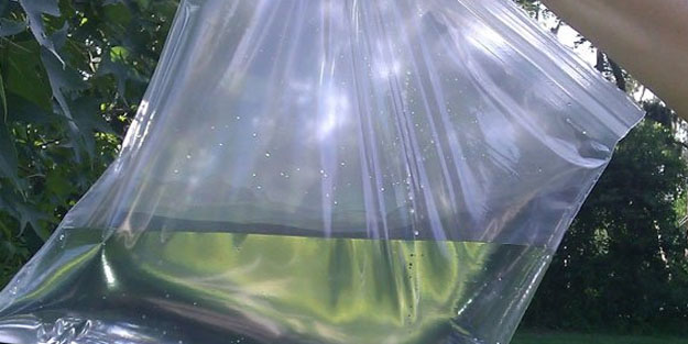 Ne sinek ne böcek evinizin eşiğine yaklaşamayacak